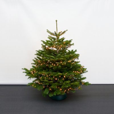 Weihnachtsbaum – Lichterkette „700 LEDs/17m“