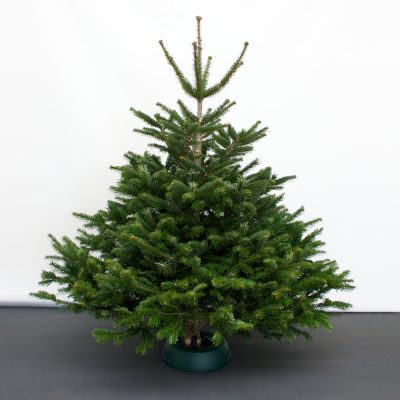 Weihnachtsbaumständer „DIWA Aqua Fix 220“